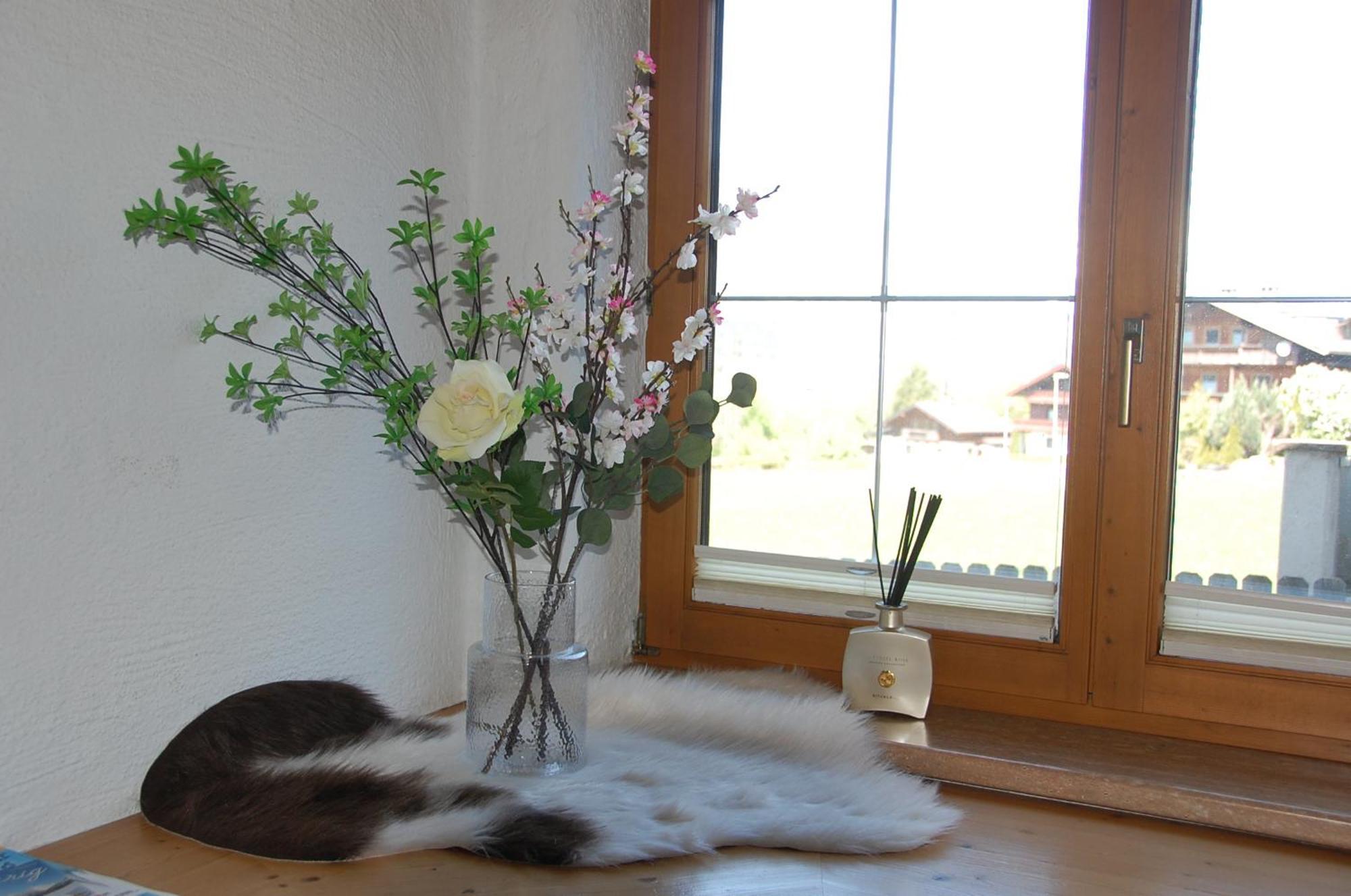 Villa Haus Hart Im Zillertal 6 Personen Extérieur photo