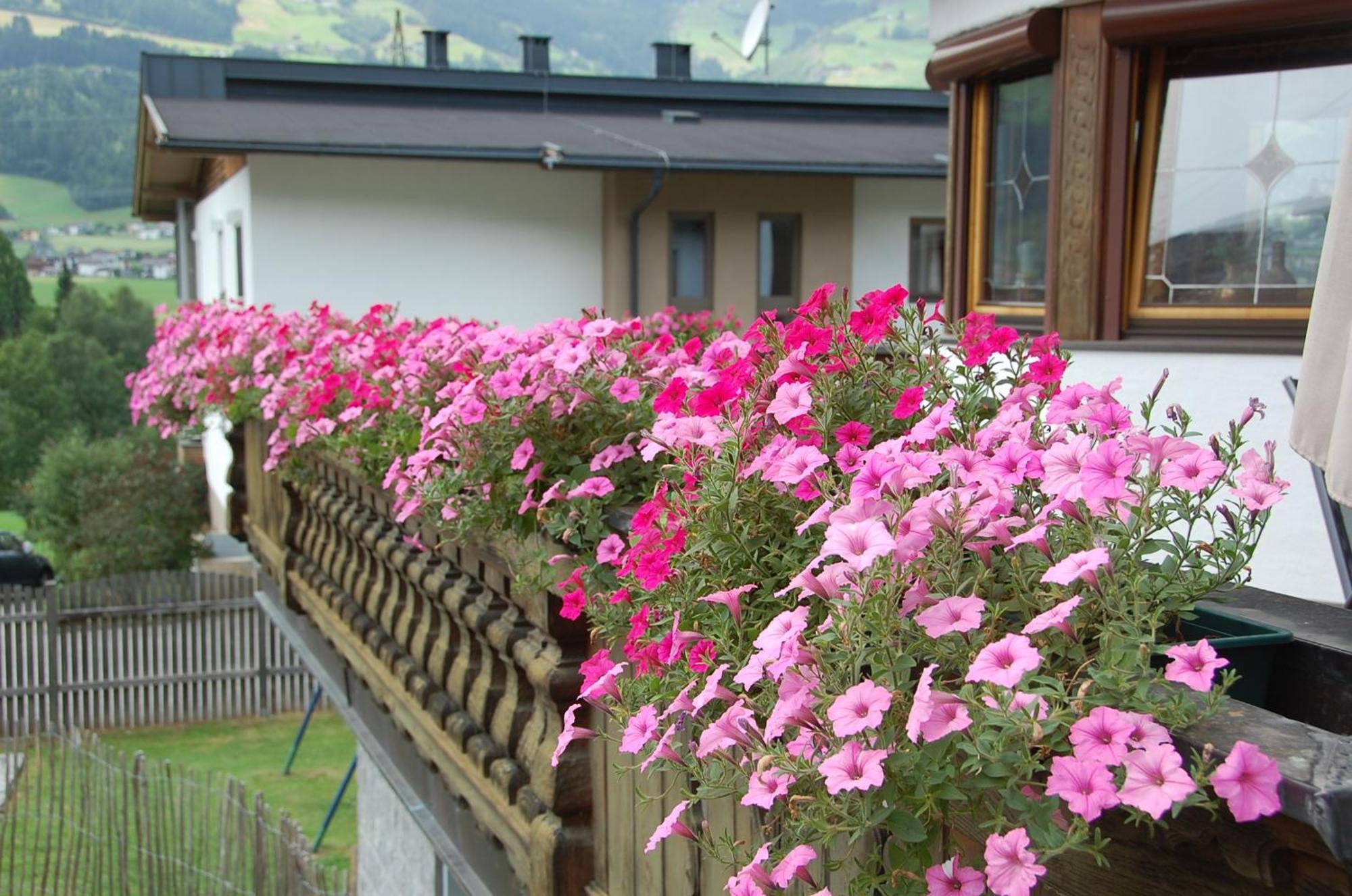 Villa Haus Hart Im Zillertal 6 Personen Extérieur photo